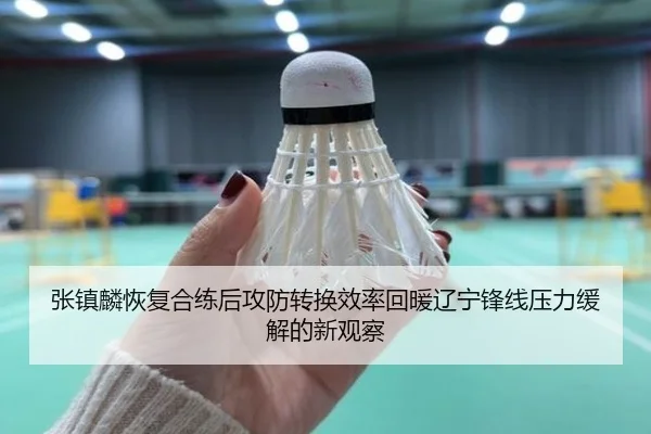 张镇麟恢复合练后攻防转换效率回暖辽宁锋线压力缓解的新观察
